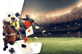 Discover the best casino games 43 Discover the best casino games 43