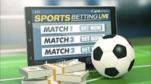 Unraveling the Future of Betting The Rise of Oddi Bet Unraveling the Future of Betting The Rise of Oddi Bet